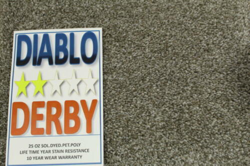 Diablo Derby