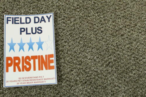 Field Day Plus Pristine