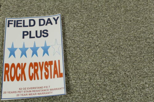 Field Day Plus Rock Crystal