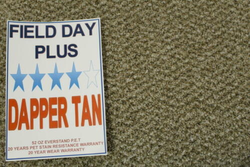 Field Day Plus Dapper Tan