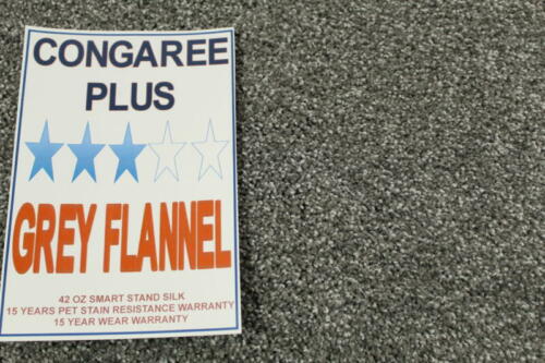 Congaree Plus Grey Flannel