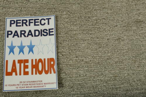 Perfect Paradise Late Hour