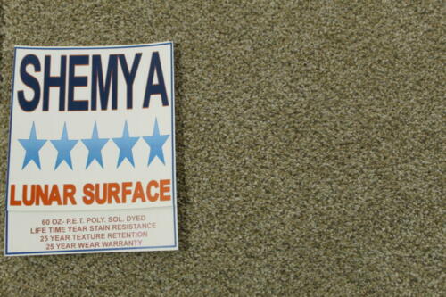 Shemya Lunar Surface